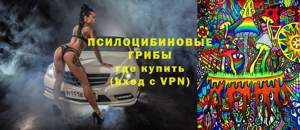 мдпв Верхний Тагил