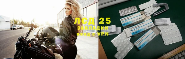 винт Верея