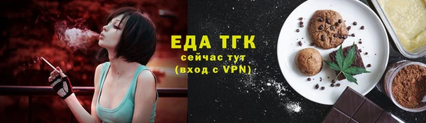 мдпв Верхний Тагил