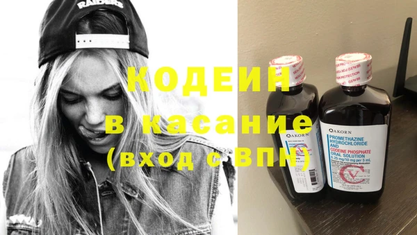 мдпв Верхний Тагил