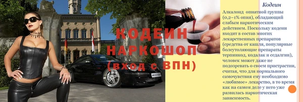 мдпв Верхний Тагил