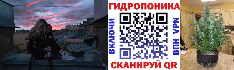 купить Вятские Поляны MEGA вход Шишки марихуана гибрид